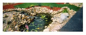 Water Features
