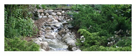 Water Features
